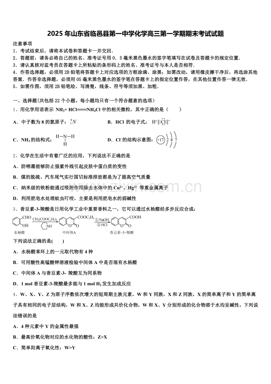 2025年山东省临邑县第一中学化学高三第一学期期末考试试题.doc_第1页