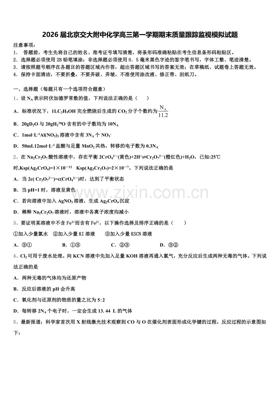 2026届北京交大附中化学高三第一学期期末质量跟踪监视模拟试题.doc_第1页