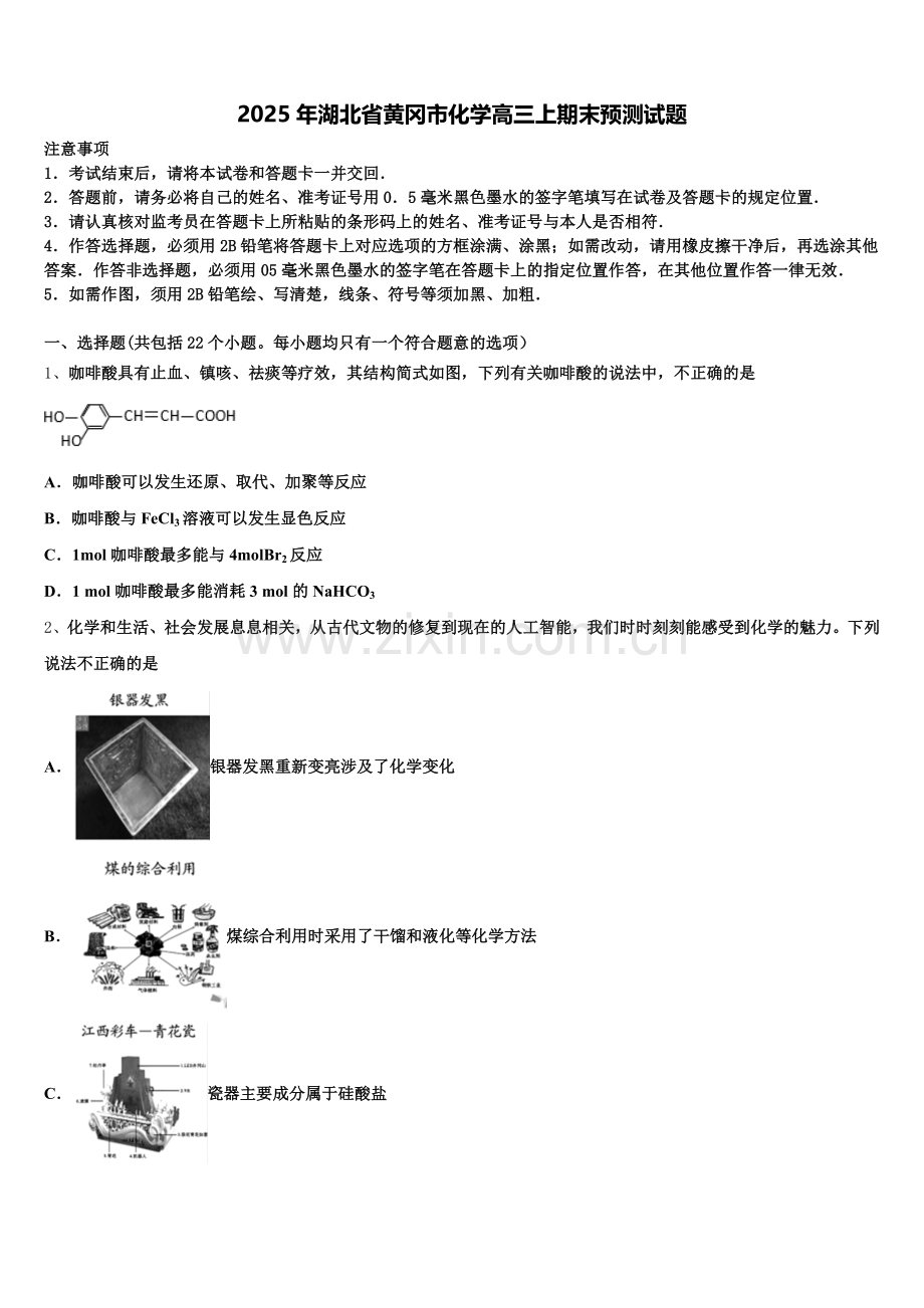 2025年湖北省黄冈市化学高三上期末预测试题.doc_第1页
