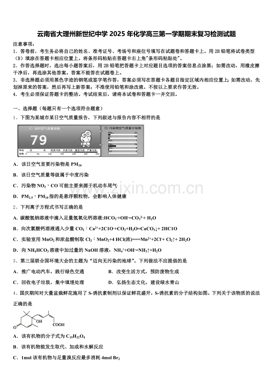 云南省大理州新世纪中学2025年化学高三第一学期期末复习检测试题.doc_第1页