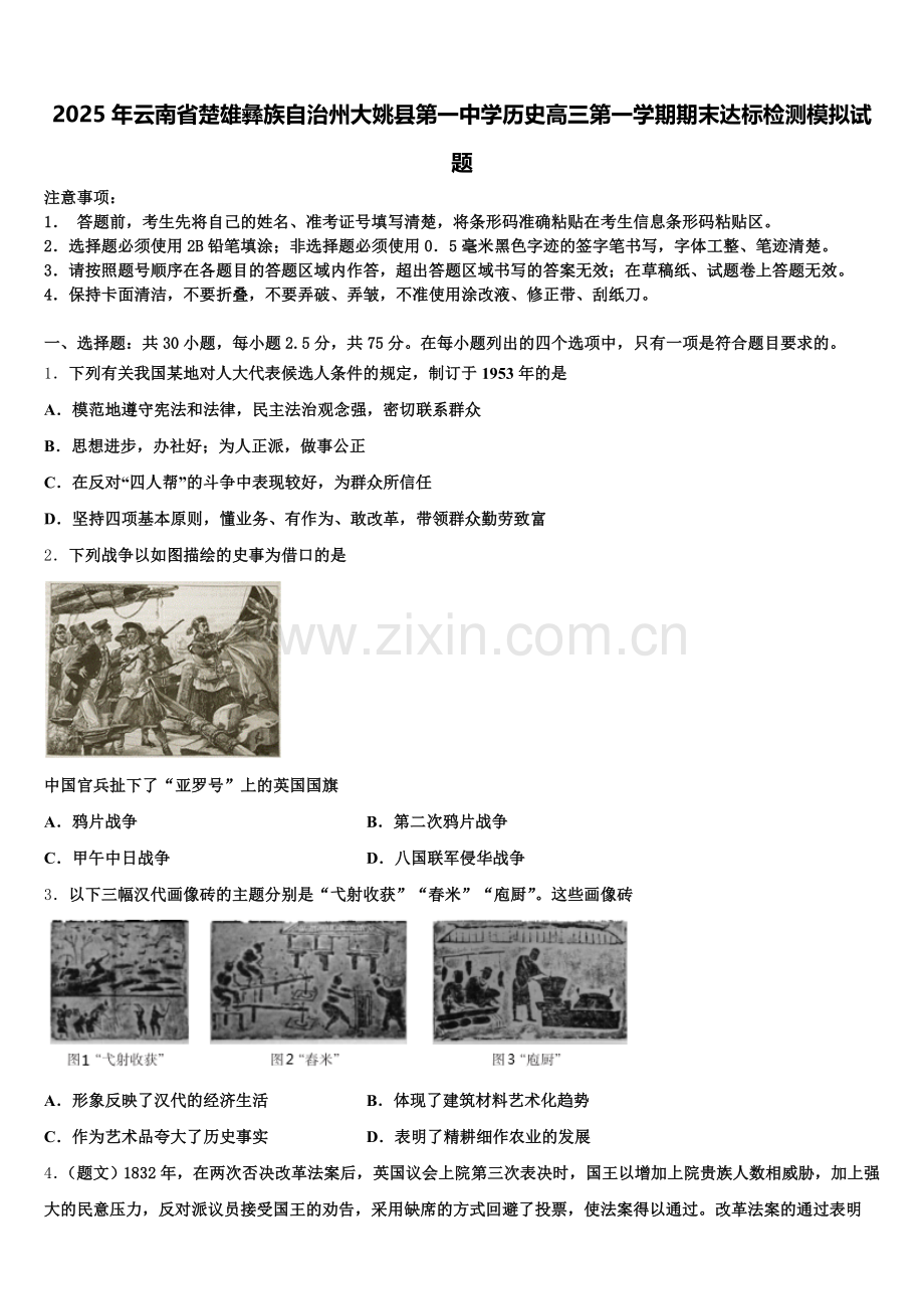 2025年云南省楚雄彝族自治州大姚县第一中学历史高三第一学期期末达标检测模拟试题.doc_第1页