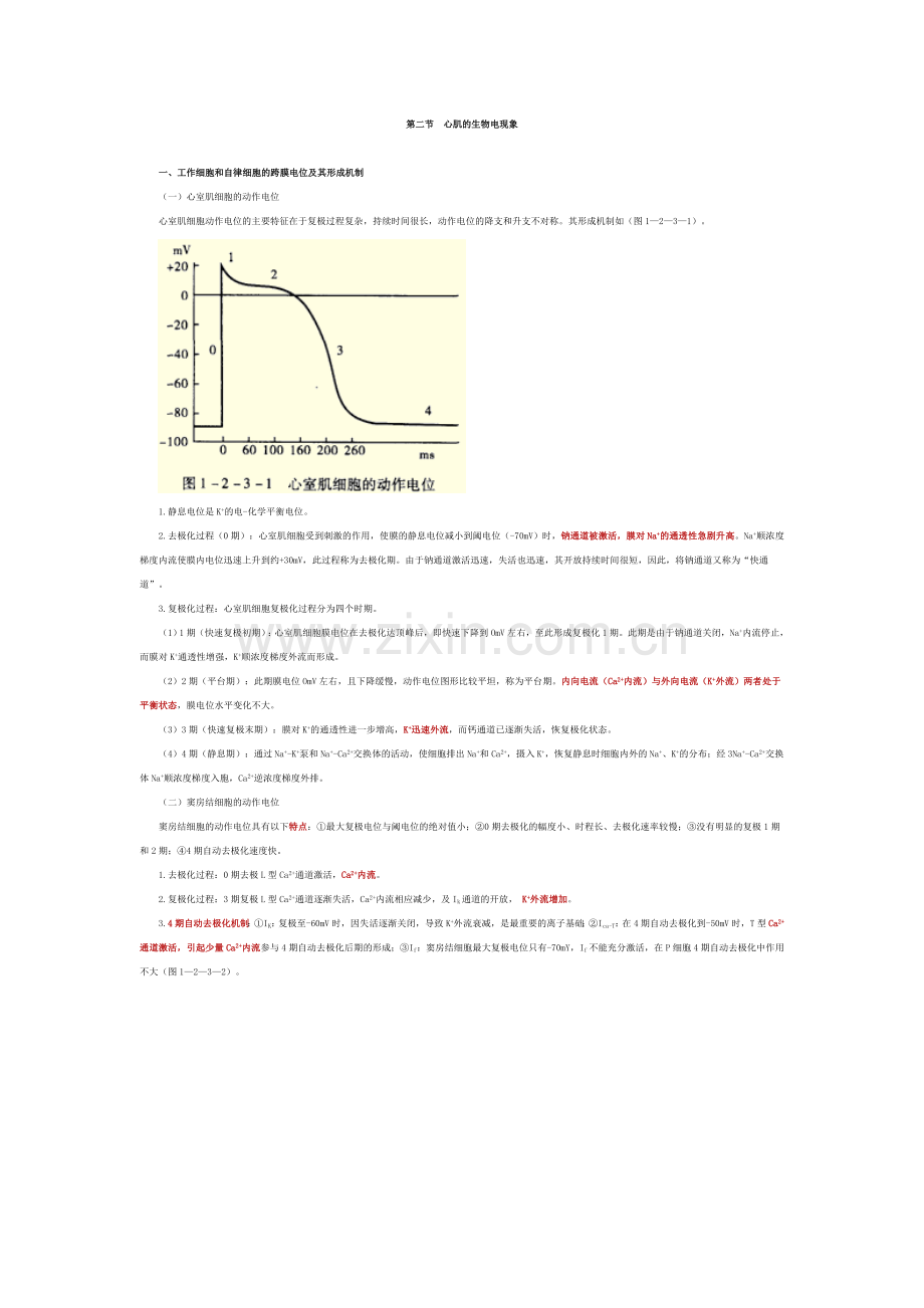 生理-循环系统.doc_第2页