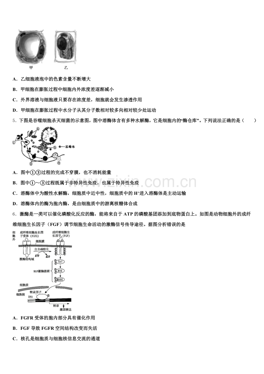 2026届重庆市云阳县凤鸣中学生物高三上期末教学质量检测模拟试题.doc_第2页