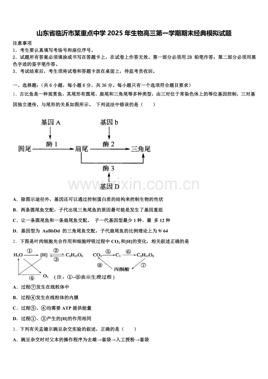 山东省临沂市某重点中学2025年生物高三第一学期期末经典模拟试题.doc_第1页