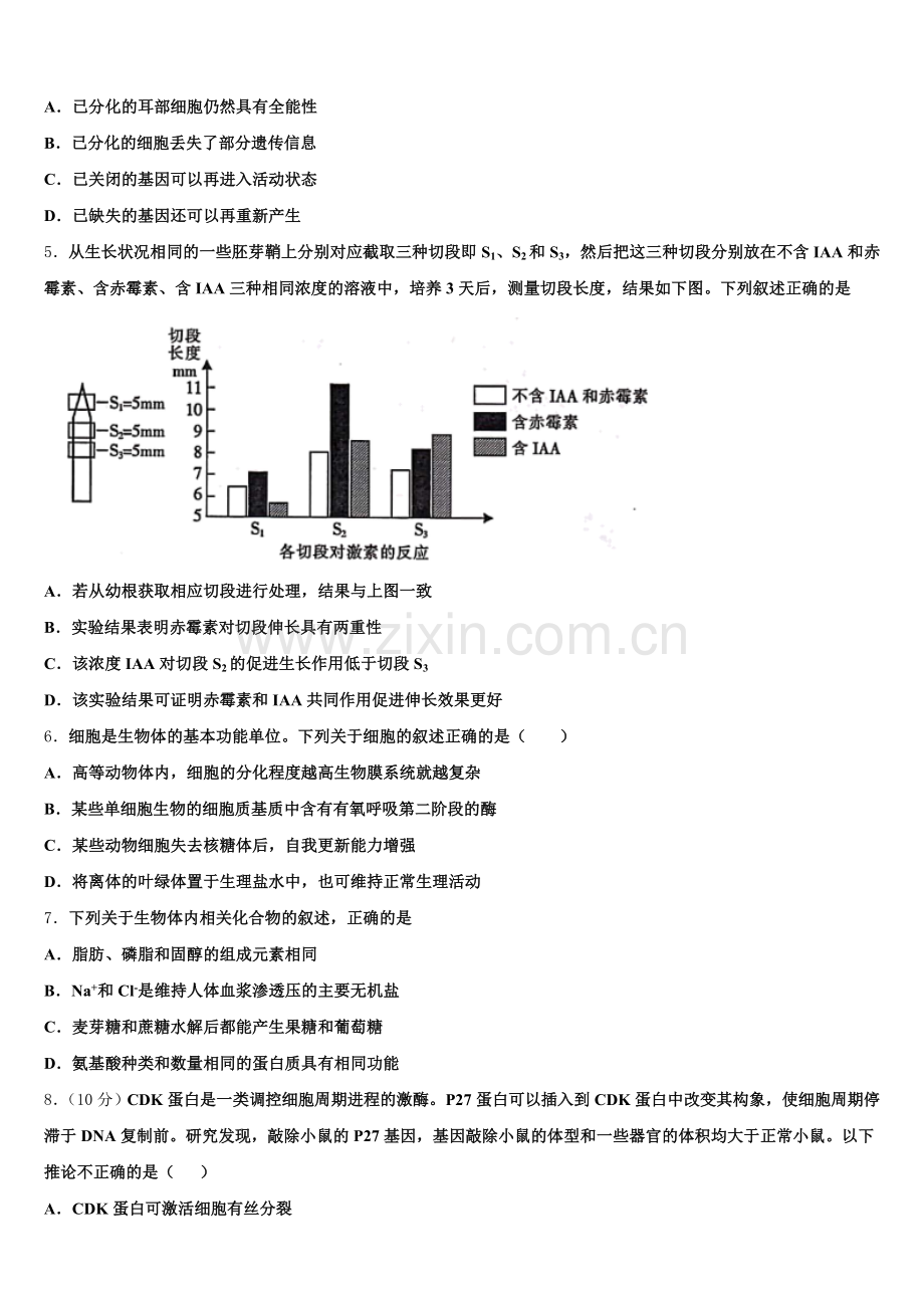 广东省广州市顺德区广州第一中学2025年生物高三第一学期期末检测试题.doc_第2页