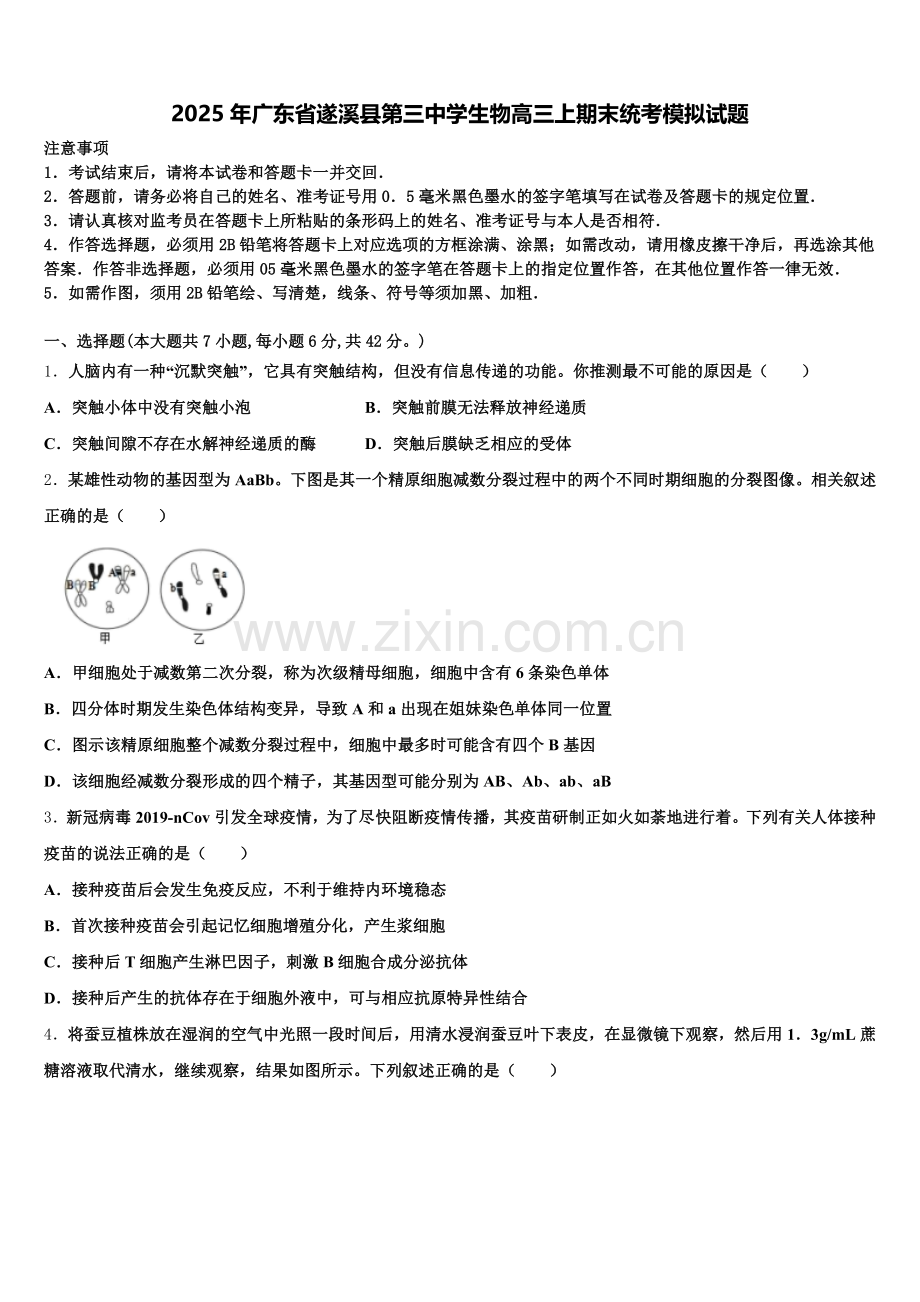 2025年广东省遂溪县第三中学生物高三上期末统考模拟试题.doc_第1页