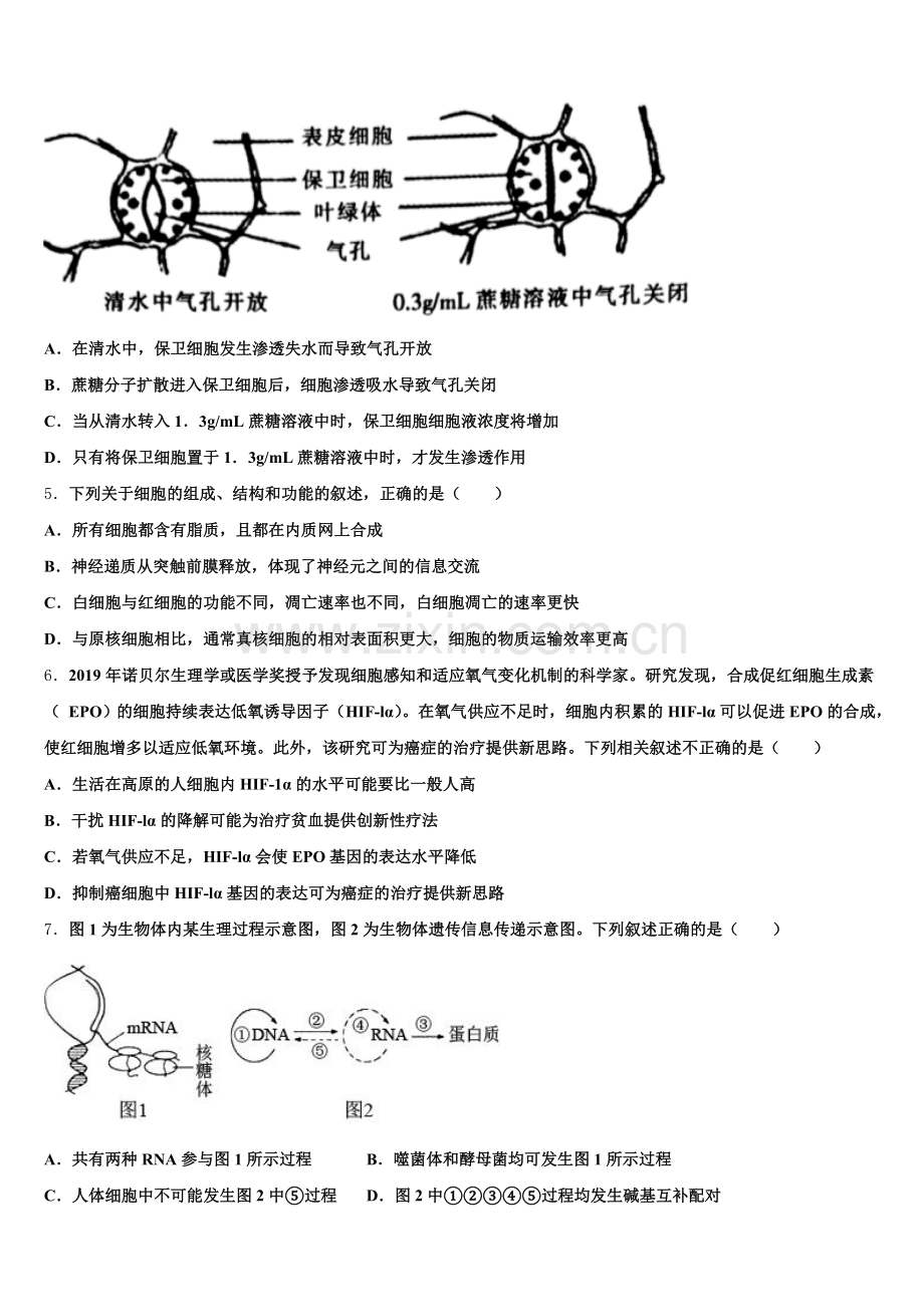 2025年广东省遂溪县第三中学生物高三上期末统考模拟试题.doc_第2页