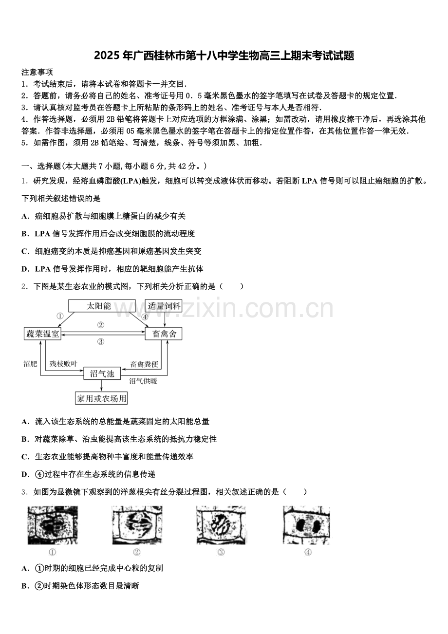 2025年广西桂林市第十八中学生物高三上期末考试试题.doc_第1页