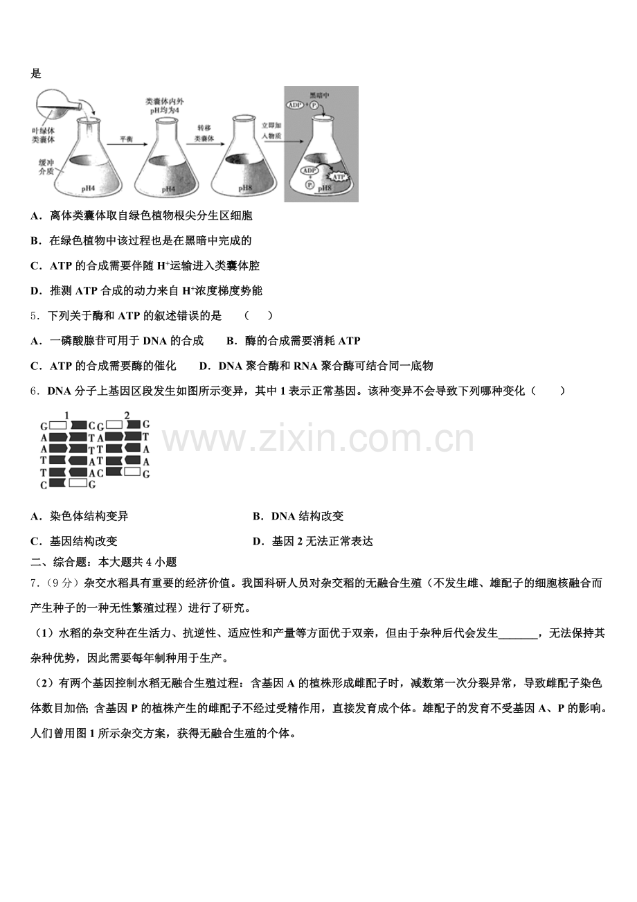 2025-2026学年湖北省随州市曾都区随州一中高三生物第一学期期末学业质量监测试题.doc_第2页