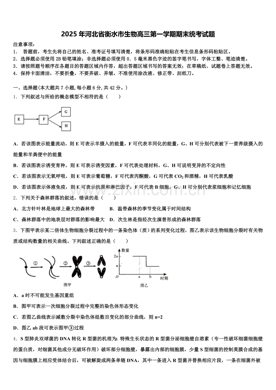 2025年河北省衡水市生物高三第一学期期末统考试题.doc_第1页