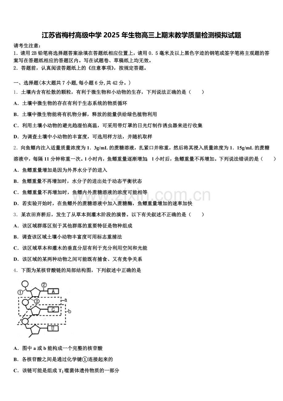 江苏省梅村高级中学2025年生物高三上期末教学质量检测模拟试题.doc_第1页