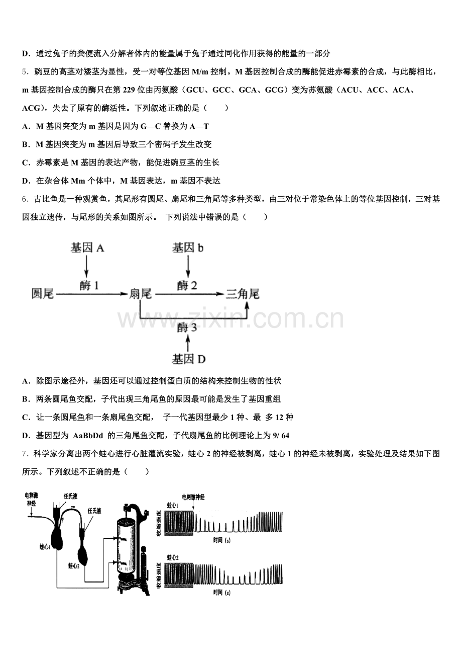 2025年新疆阿克苏地区沙雅县第二中学生物高三第一学期期末综合测试模拟试题.doc_第2页