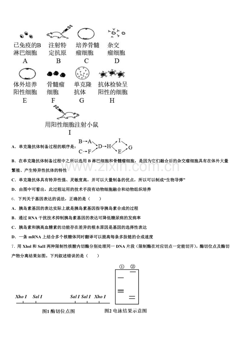 2025年陕西省商洛市生物高三第一学期期末预测试题.doc_第2页