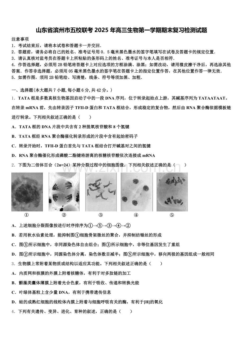 山东省滨州市五校联考2025年高三生物第一学期期末复习检测试题.doc_第1页