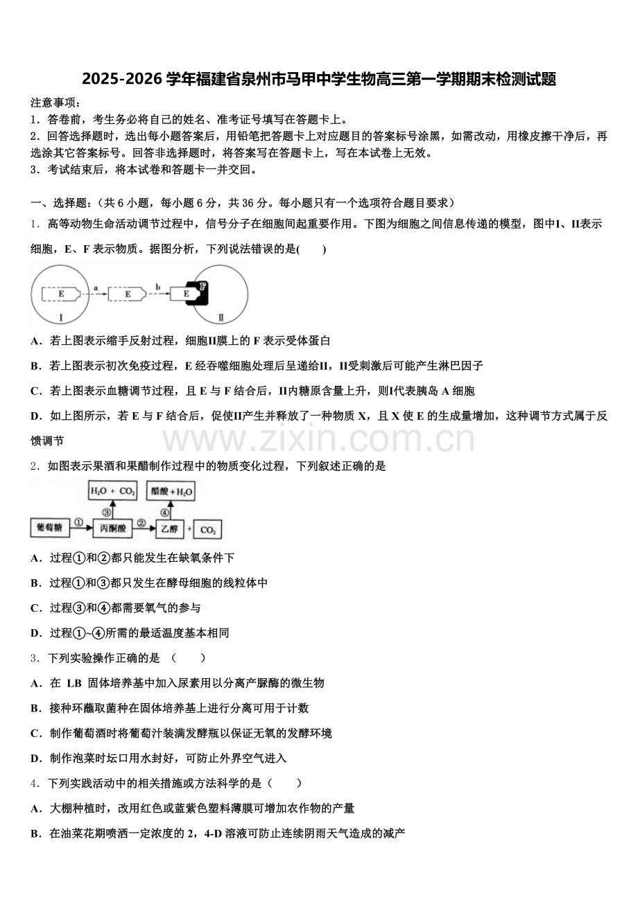 2025-2026学年福建省泉州市马甲中学生物高三第一学期期末检测试题.doc_第1页