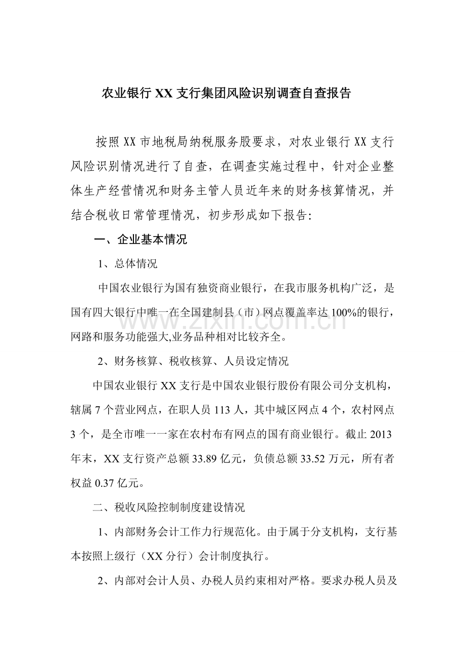 大企业风险调查自查报告.doc_第1页