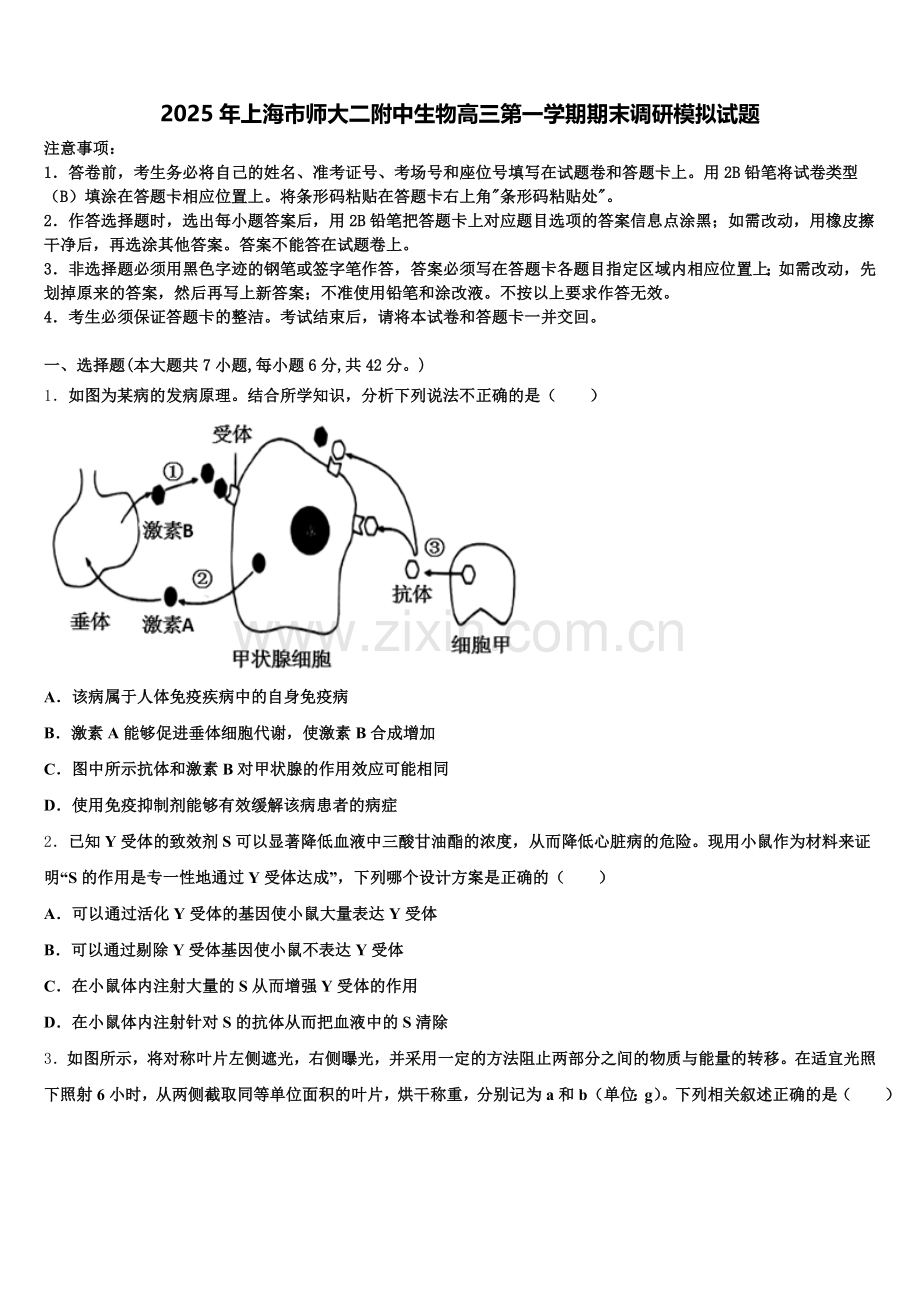 2025年上海市师大二附中生物高三第一学期期末调研模拟试题.doc_第1页