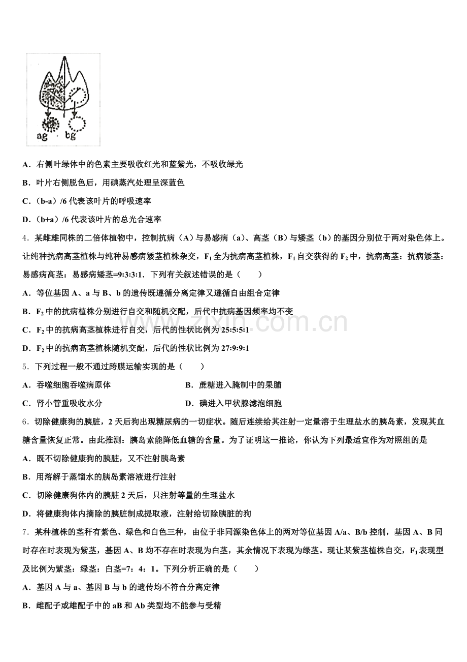 2025年上海市师大二附中生物高三第一学期期末调研模拟试题.doc_第2页