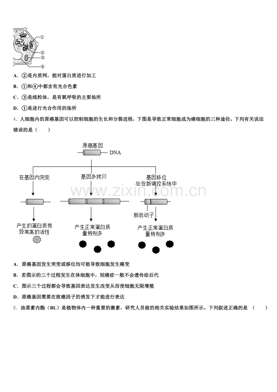 合肥市第一中学2025-2026学年生物高三上期末监测模拟试题.doc_第2页