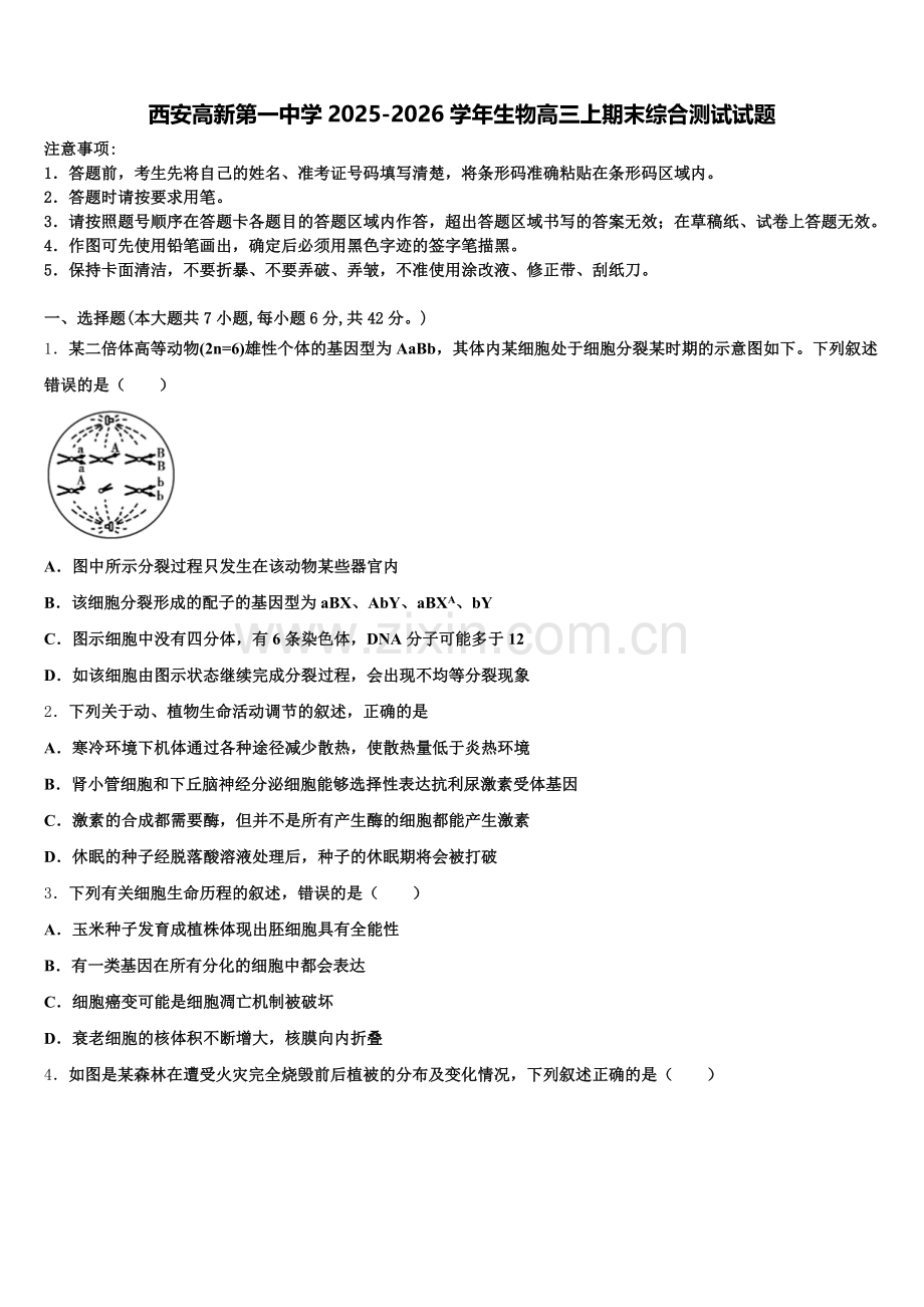 西安高新第一中学2025-2026学年生物高三上期末综合测试试题.doc_第1页