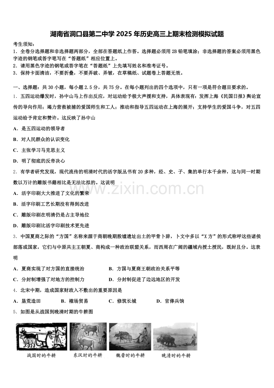 湖南省洞口县第二中学2025年历史高三上期末检测模拟试题.doc_第1页