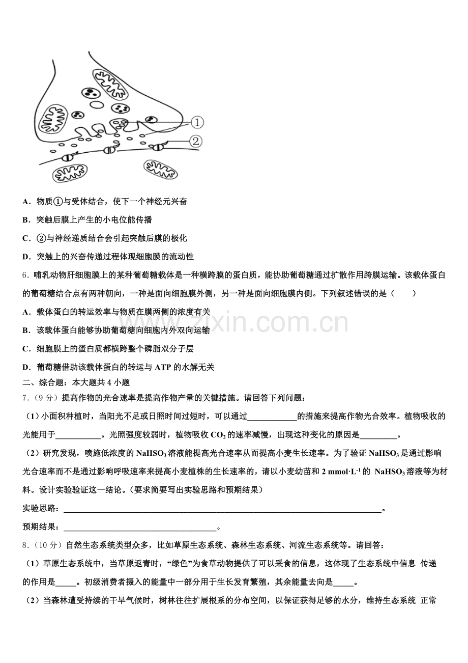 湖南省邵阳市第十一中学2025年生物高三上期末学业水平测试试题.doc_第2页