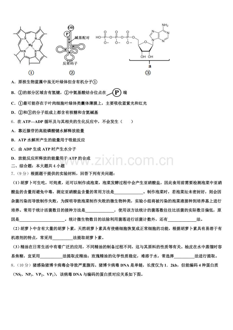 湖北省武汉市钢城四中2025-2026学年生物高三上期末检测试题.doc_第2页