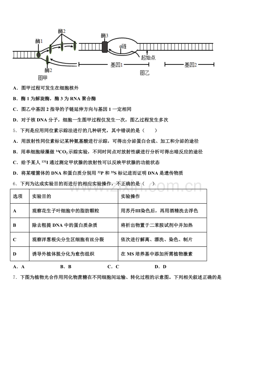 内蒙古锡林浩特市六中2025年生物高三上期末联考模拟试题.doc_第2页
