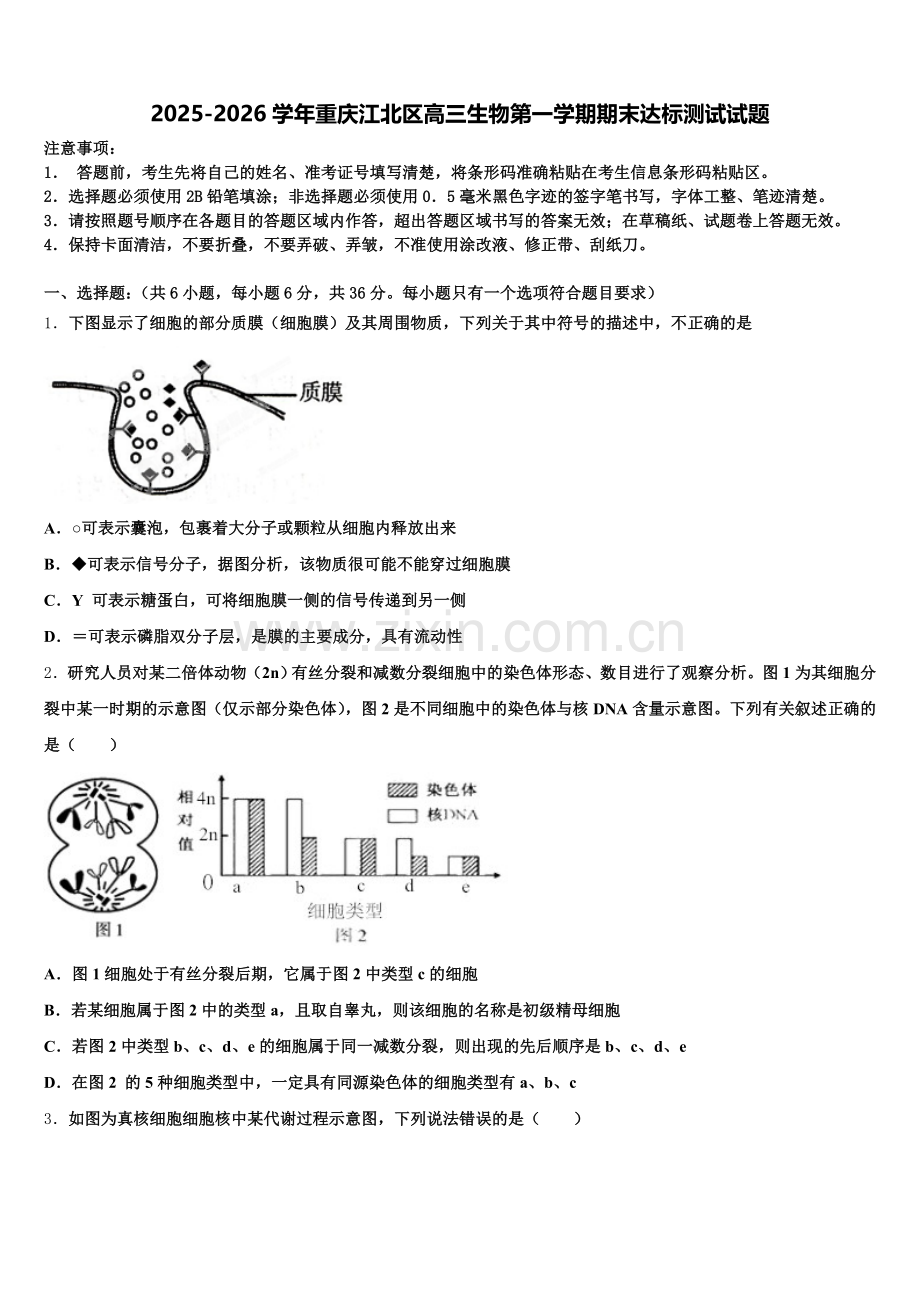 2025-2026学年重庆江北区高三生物第一学期期末达标测试试题.doc_第1页