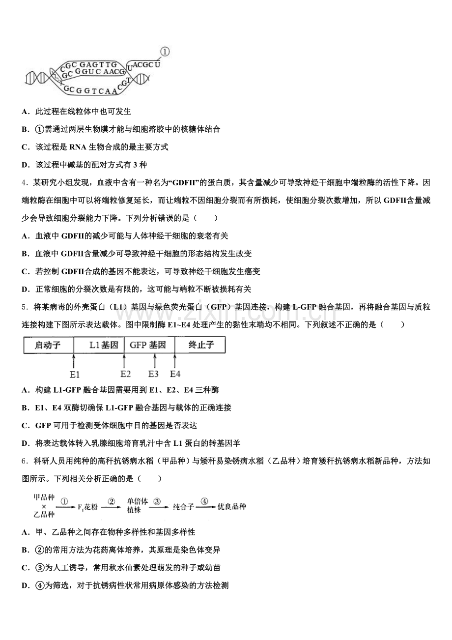 2025-2026学年重庆江北区高三生物第一学期期末达标测试试题.doc_第2页