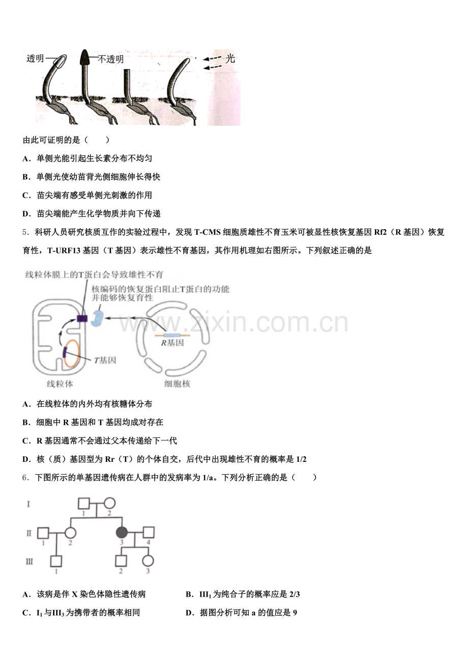 2026届黑龙江省绥化市高三生物第一学期期末联考试题.doc_第2页