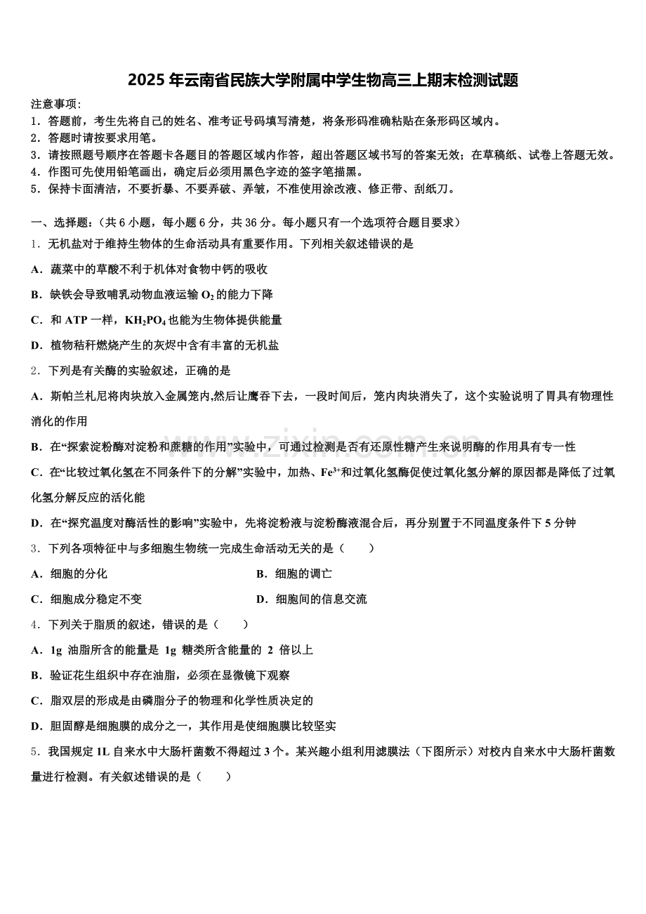2025年云南省民族大学附属中学生物高三上期末检测试题.doc_第1页