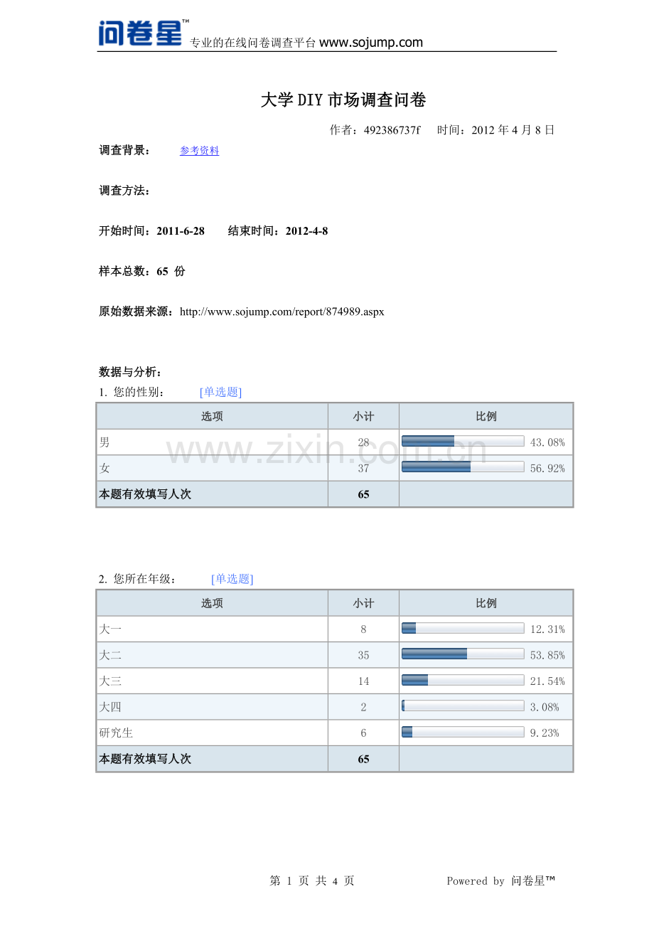 diy调查报告-默认报告.doc_第1页