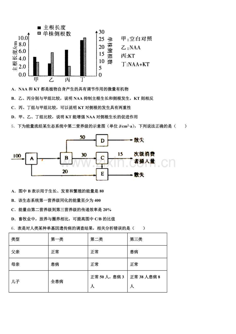 福建省泉州永春侨中2025-2026学年高三生物第一学期期末综合测试模拟试题.doc_第2页