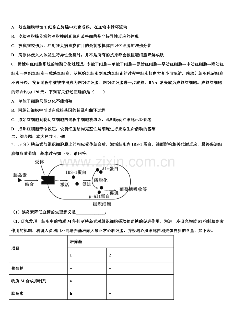 2025年四川省中江县龙台中学生物高三第一学期期末监测试题.doc_第2页
