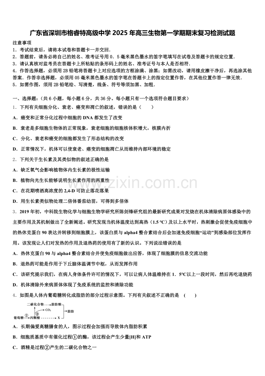 广东省深圳市格睿特高级中学2025年高三生物第一学期期末复习检测试题.doc_第1页