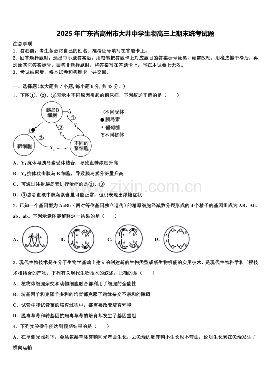2025年广东省高州市大井中学生物高三上期末统考试题.doc_第1页