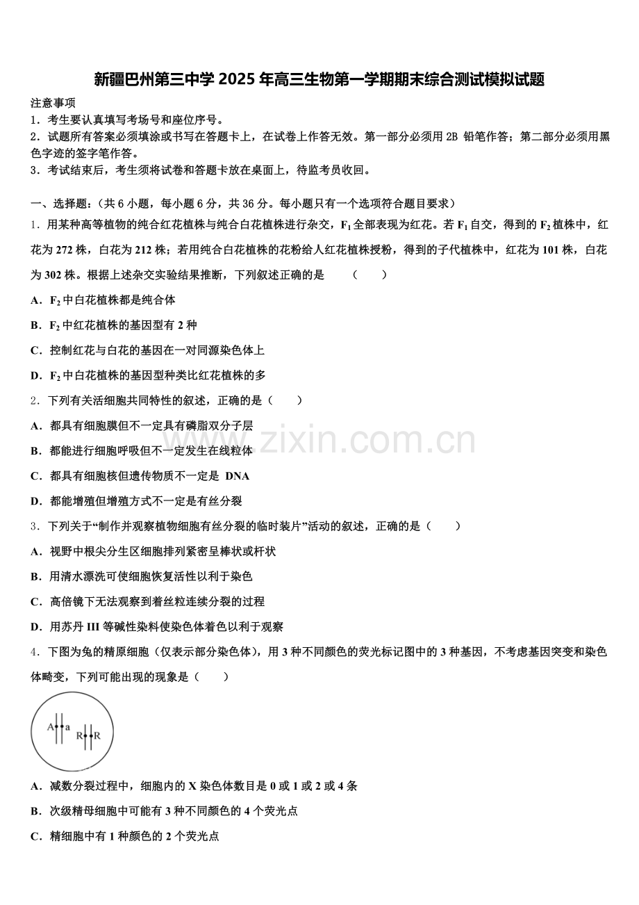 新疆巴州第三中学2025年高三生物第一学期期末综合测试模拟试题.doc_第1页