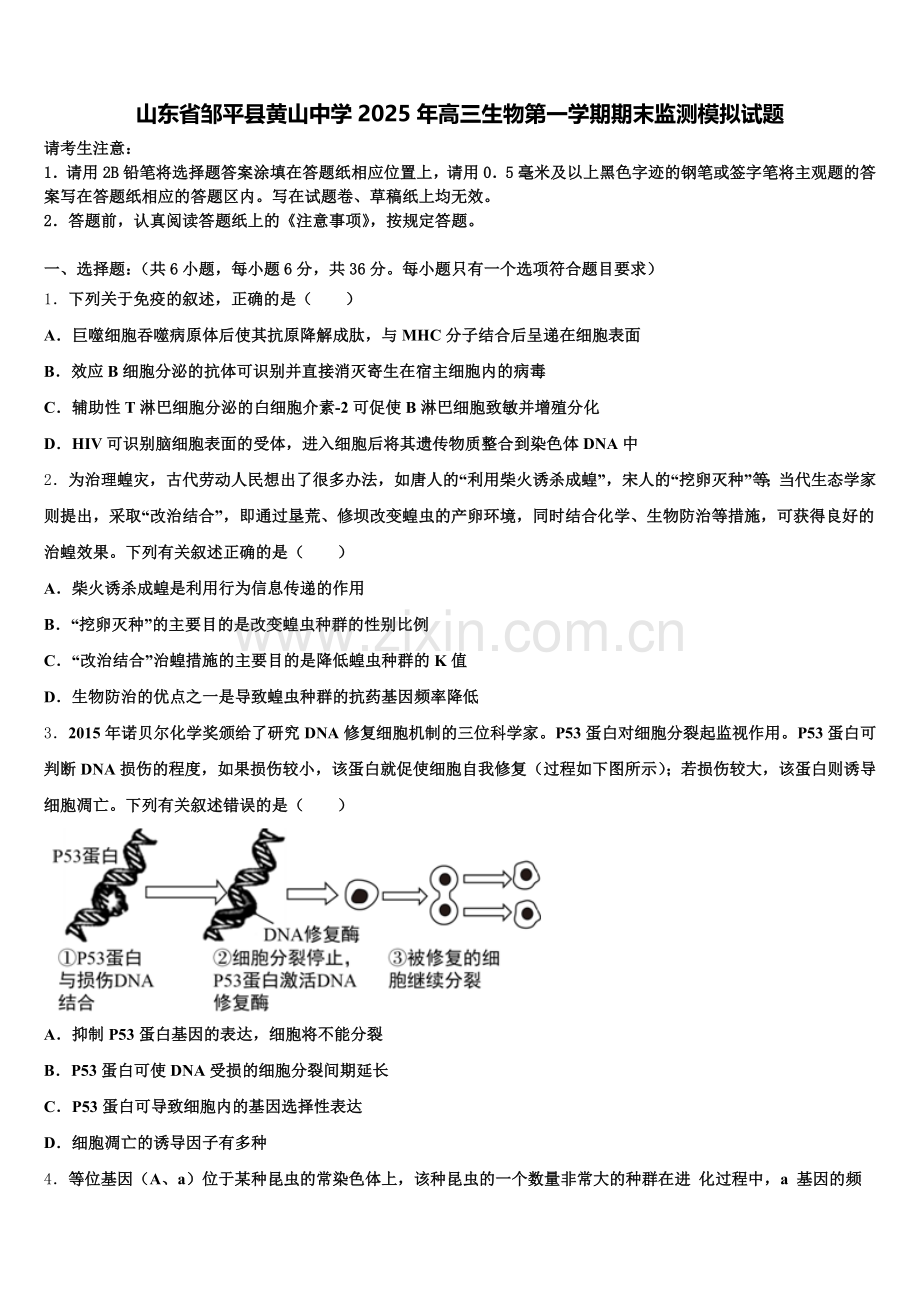 山东省邹平县黄山中学2025年高三生物第一学期期末监测模拟试题.doc_第1页