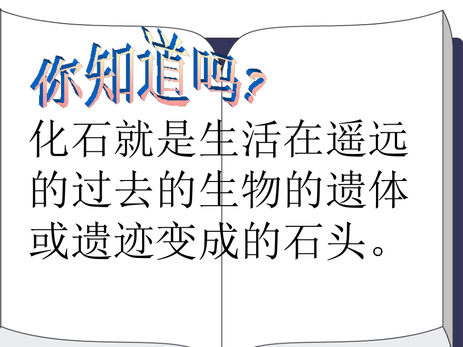 33-活化石.ppt_第2页