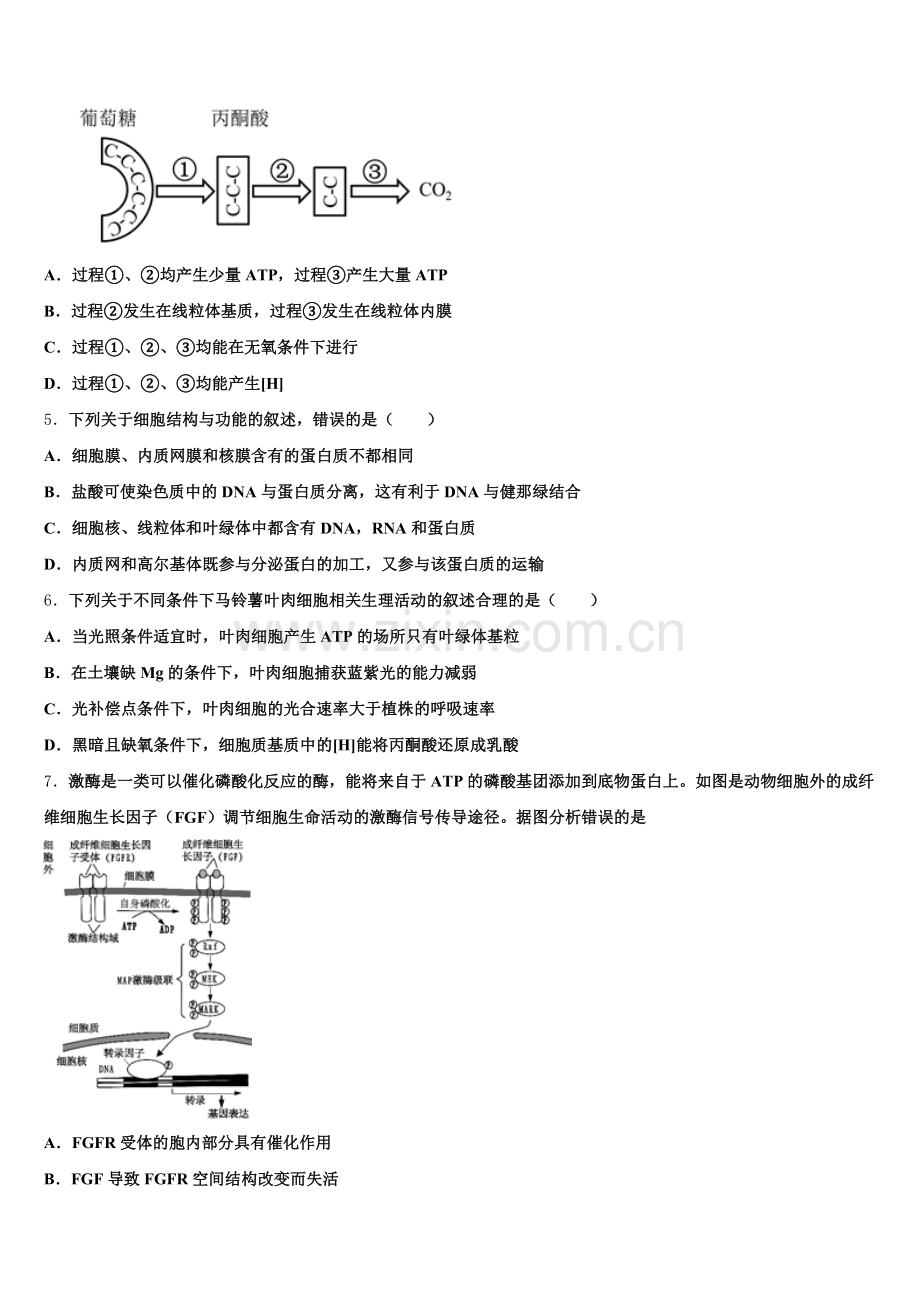 吉林省吉林市蛟河市蛟河一中2025年高三生物第一学期期末复习检测模拟试题.doc_第2页