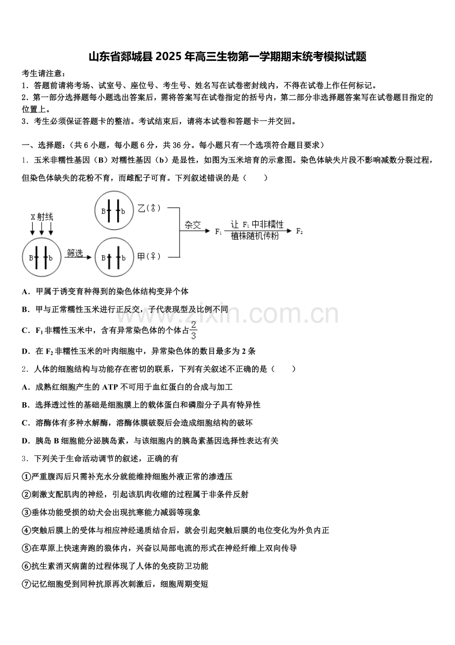 山东省郯城县2025年高三生物第一学期期末统考模拟试题.doc_第1页