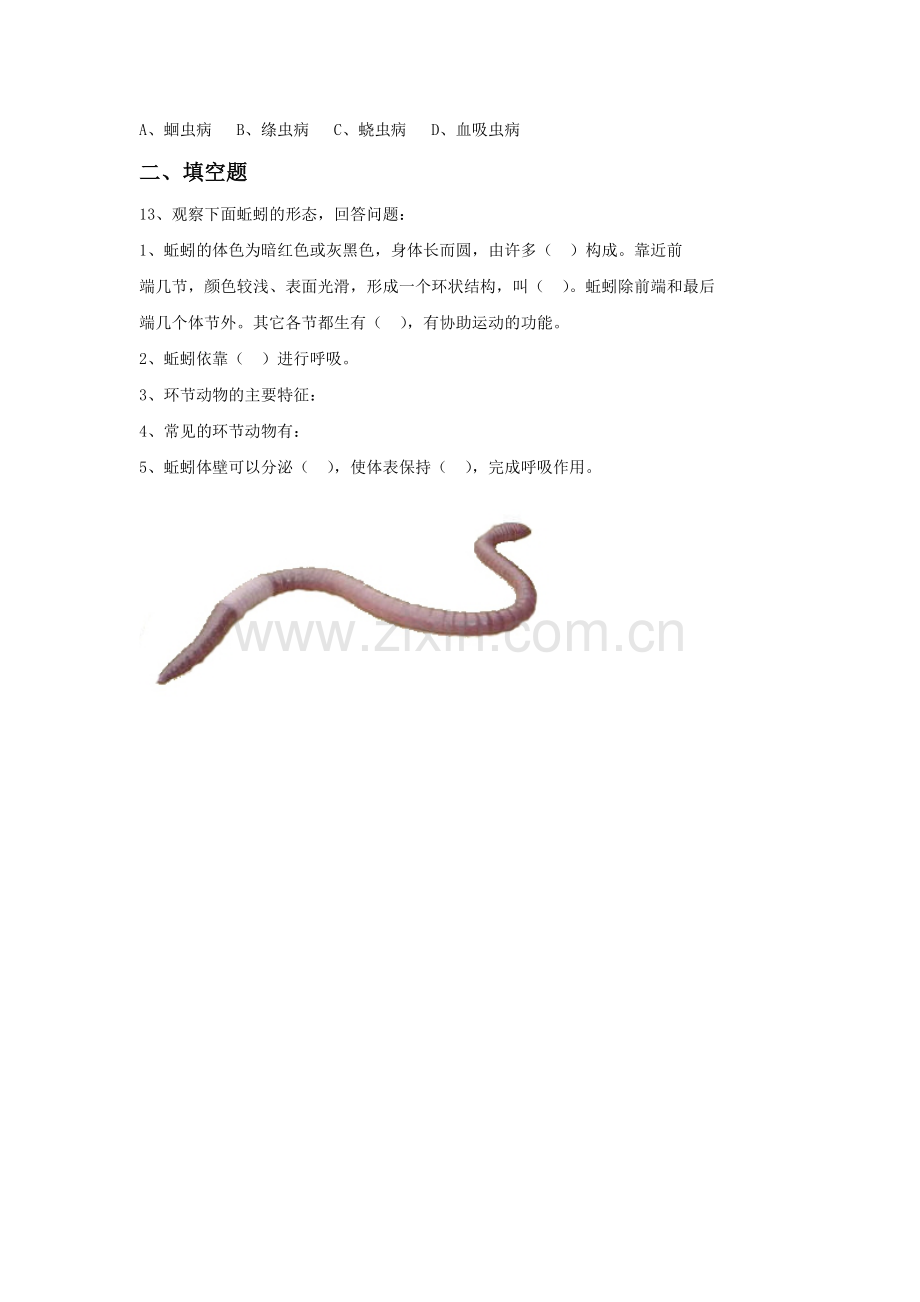 《第二节-线形动物和环节动物》-习题.docx_第2页