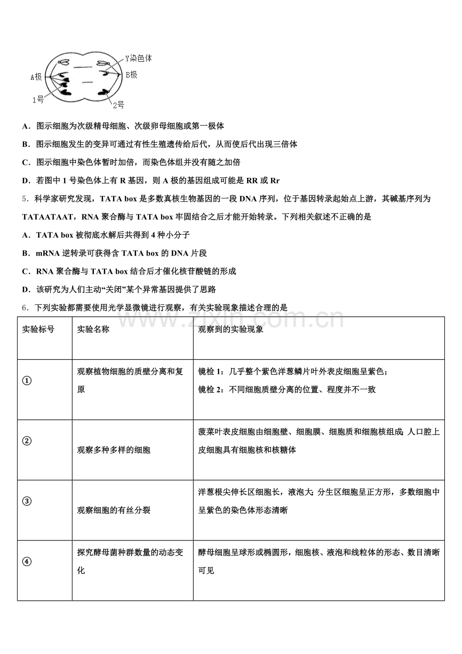 河南省淮阳第一高级中学2025-2026学年生物高三上期末调研模拟试题.doc_第2页