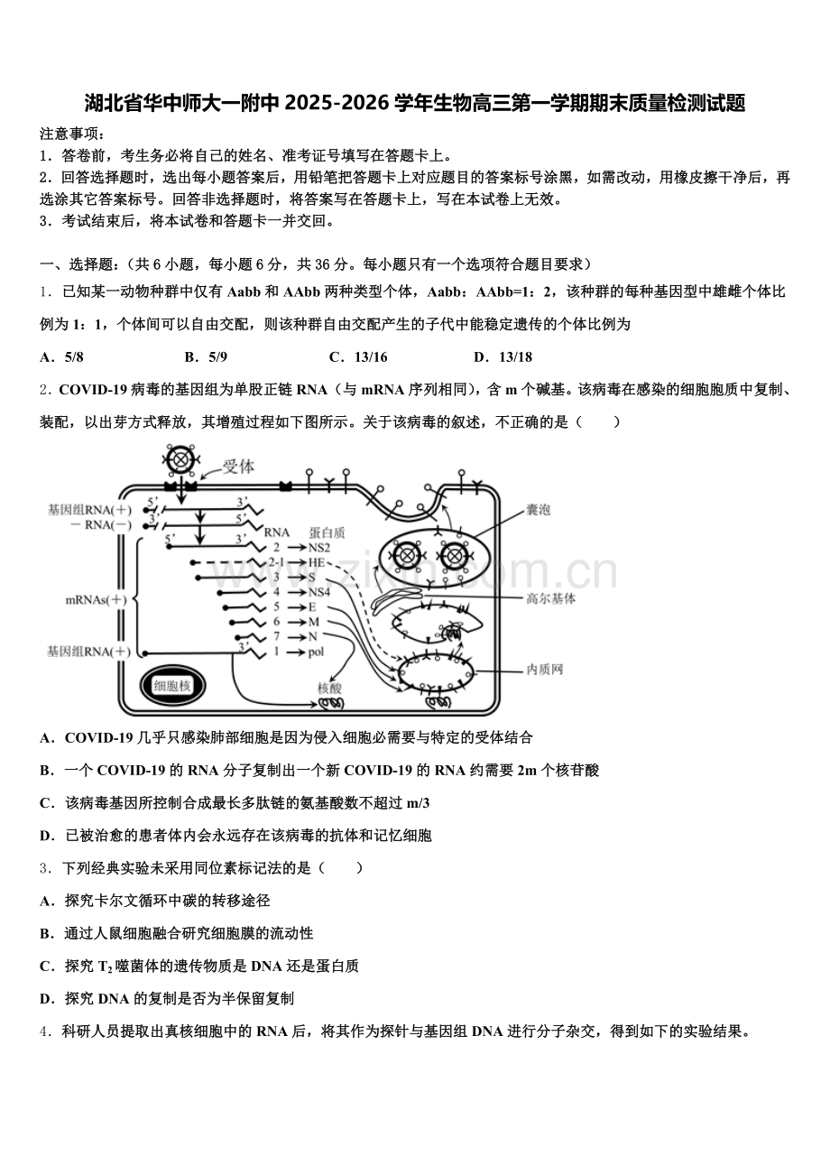 湖北省华中师大一附中2025-2026学年生物高三第一学期期末质量检测试题.doc_第1页