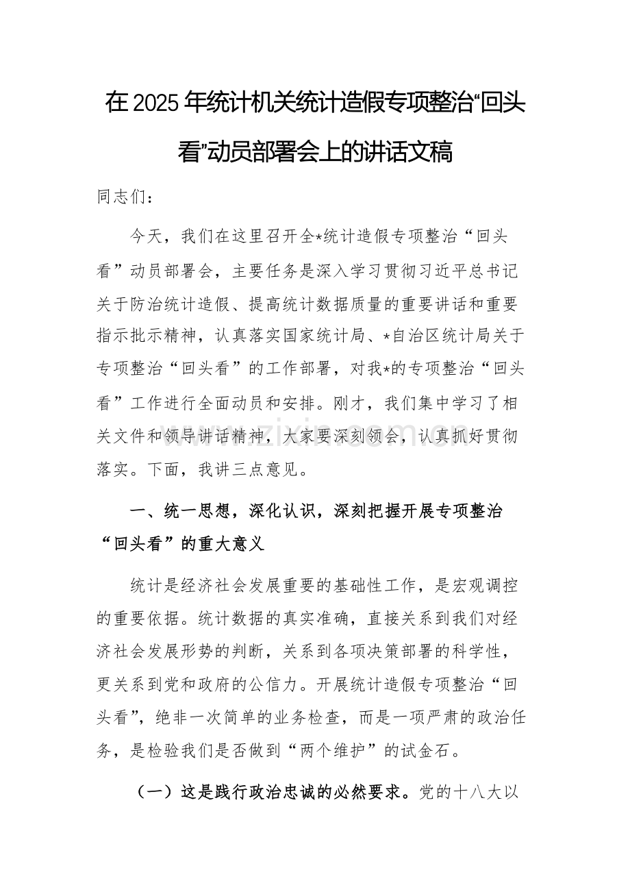 在2025年统计机关统计造假专项整治“回头看”动员部署会上的讲话文稿.docx_第1页
