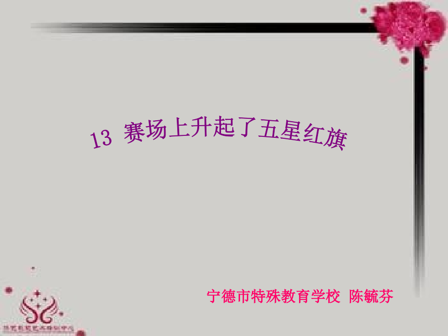 13赛场上升起了五星红旗.ppt_第1页