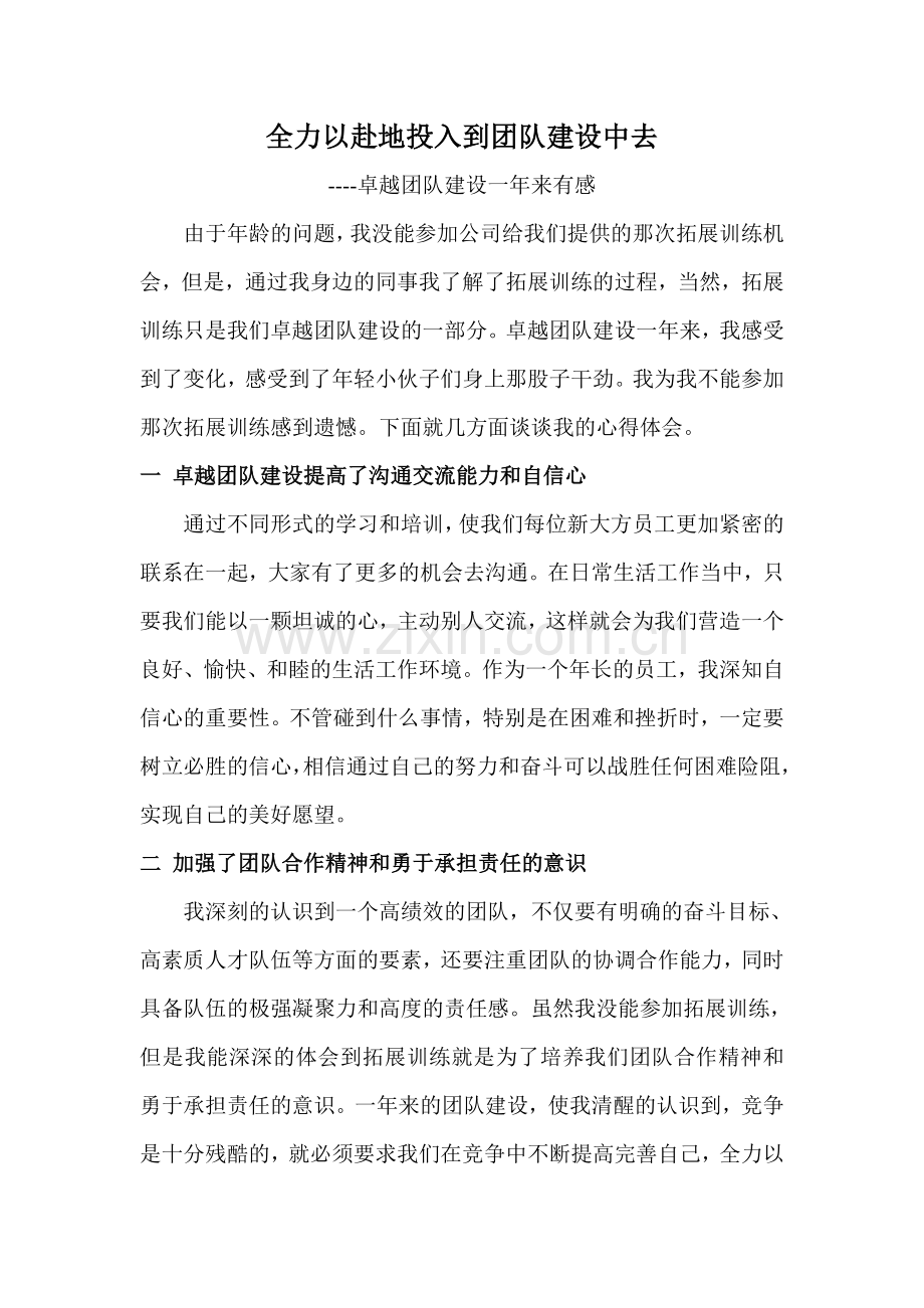 全力以赴地投入到团队建设中去.doc_第1页