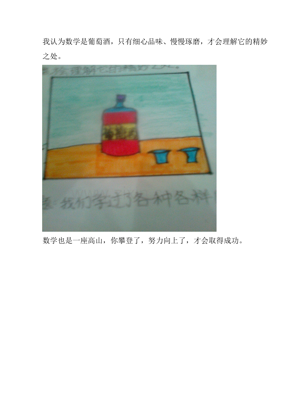 我认为数学是葡萄酒.doc_第1页