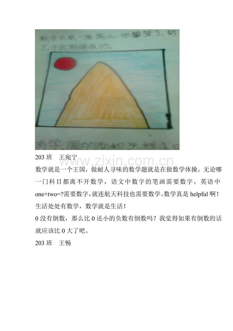 我认为数学是葡萄酒.doc_第2页